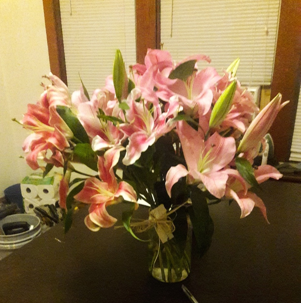 Meet your Posher, Sophia